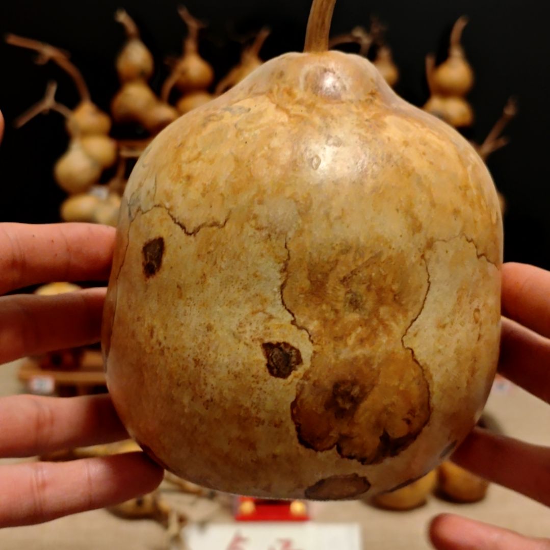 豌***青直播间专拍葫芦葫芦