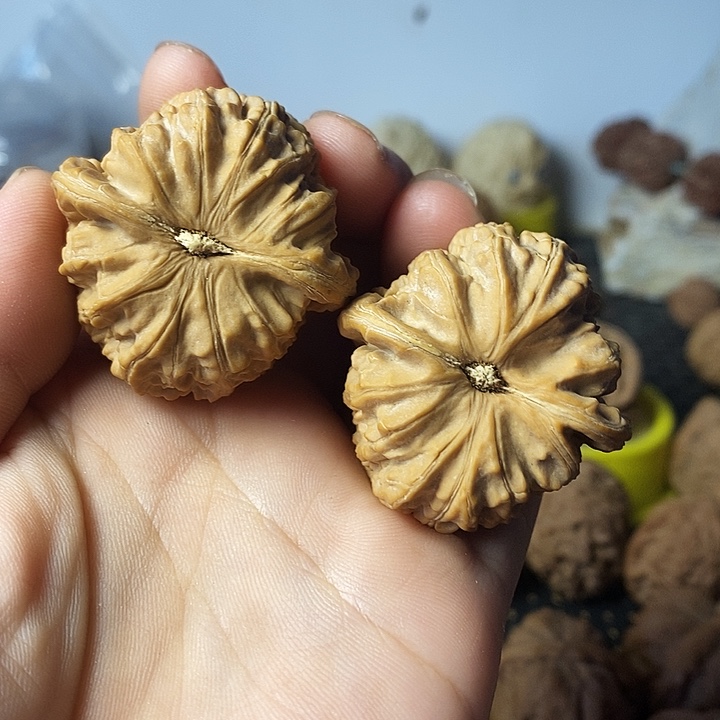 吊坠文玩核桃Y*老树白狮子