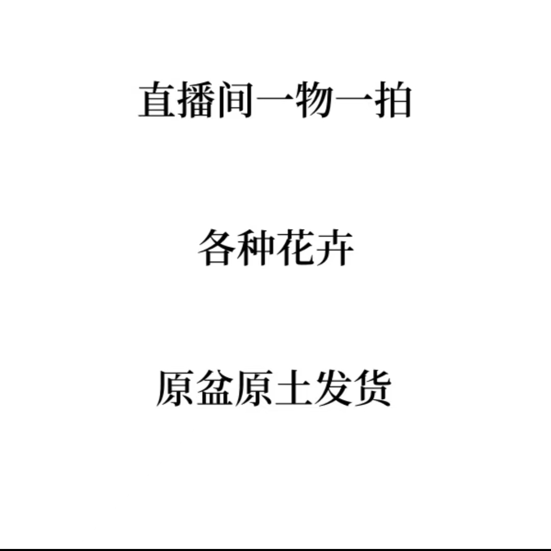 直播链接一物一拍花卉
