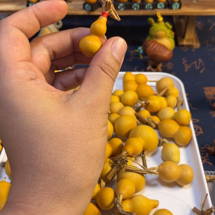 小***.哈哈哈哈哈哈哈哈啦