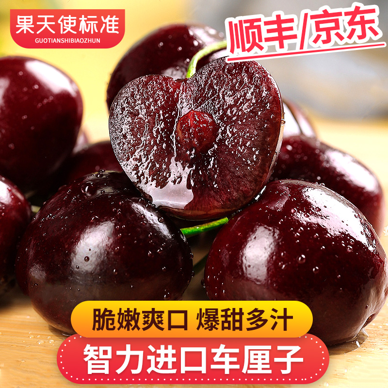 【果天使标准】桑提娜海运智力进口车厘子5斤  J-4J内附果径卡