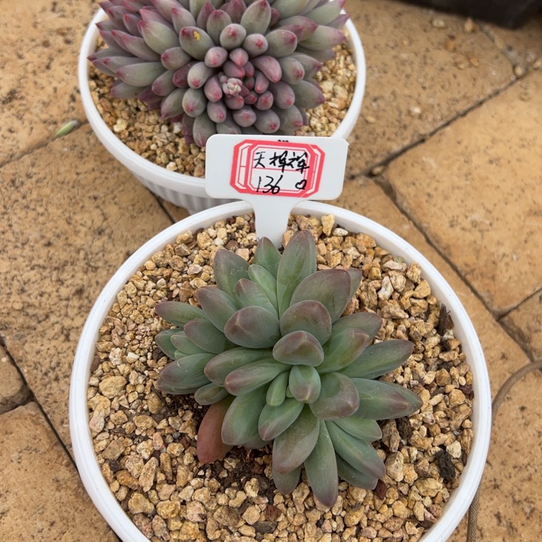 天***辉天辉辉146、                 