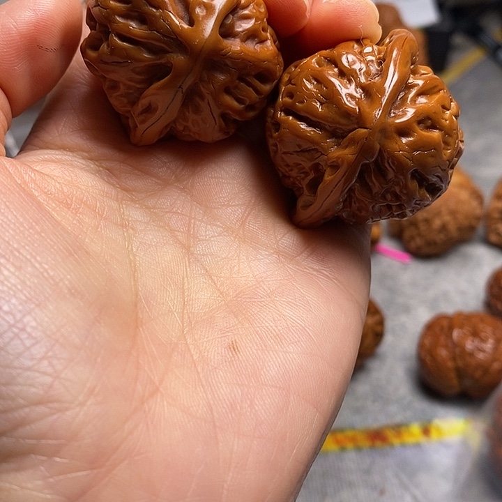 。****大叶紫檀（黑酸枝木类）