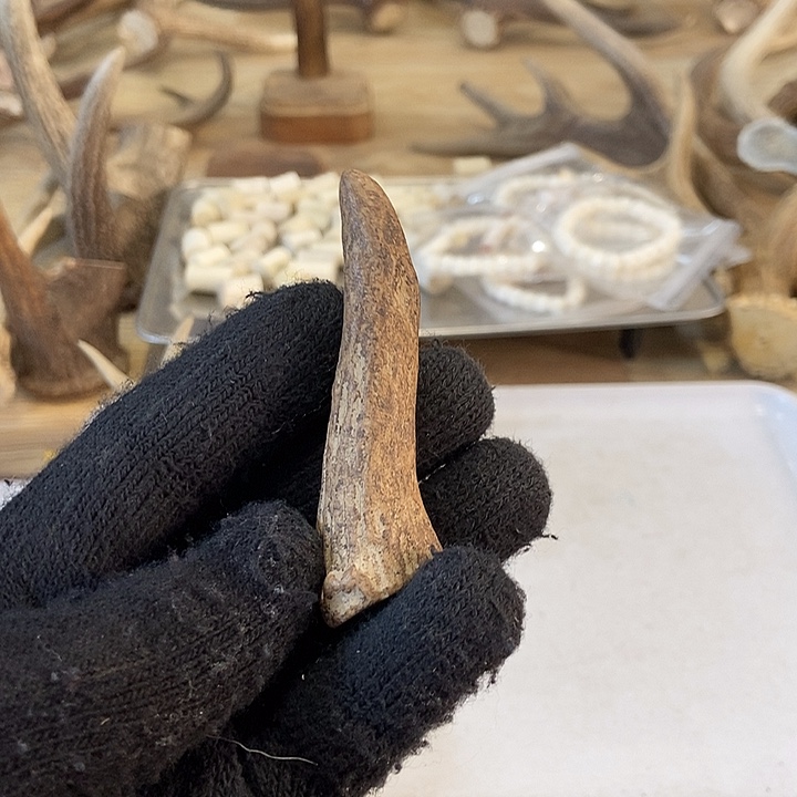 沾***鱼大叶紫檀（黑酸枝木类）