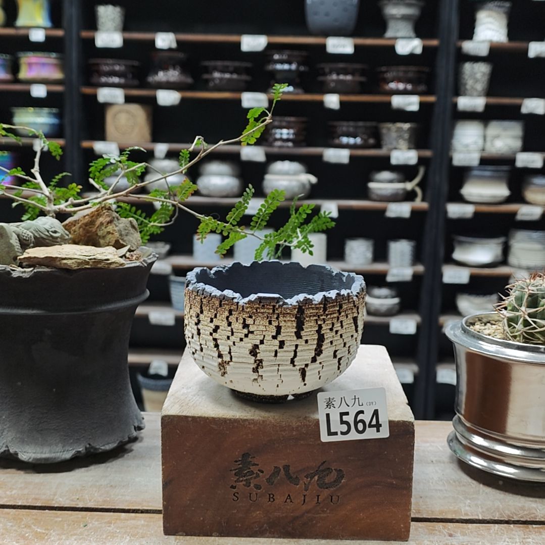 瓷素八九陶瓷内口10高7.5