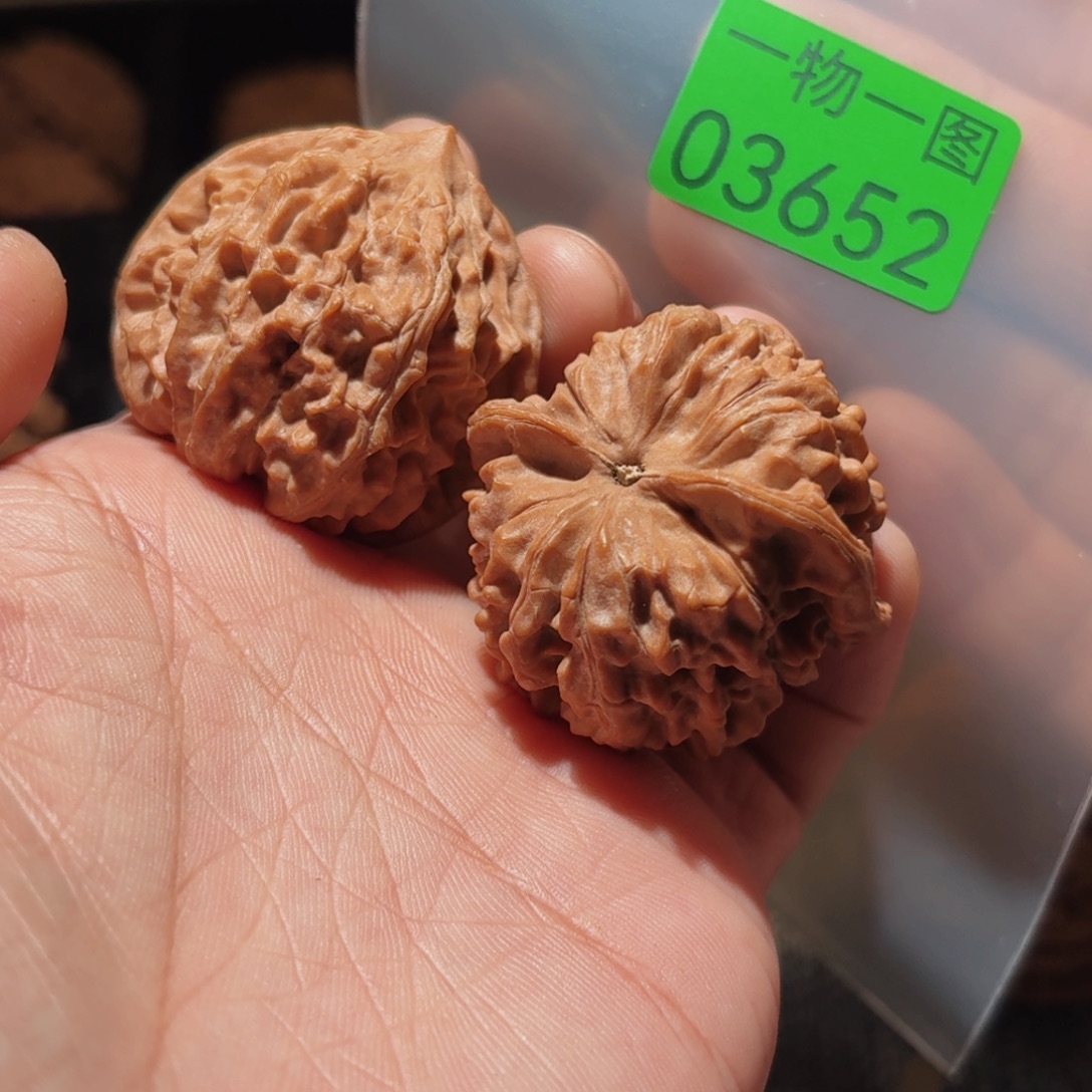 文玩核桃把件红红珊瑚
