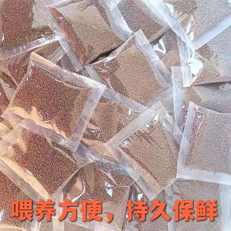 小包装鱼食5袋（10g/包）