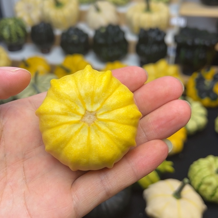 N***~福利福利福利福利