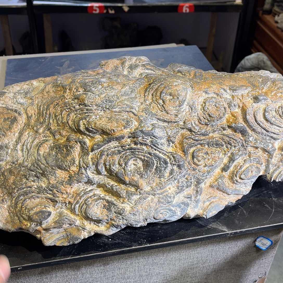 紫砂偏远地区发到付森*