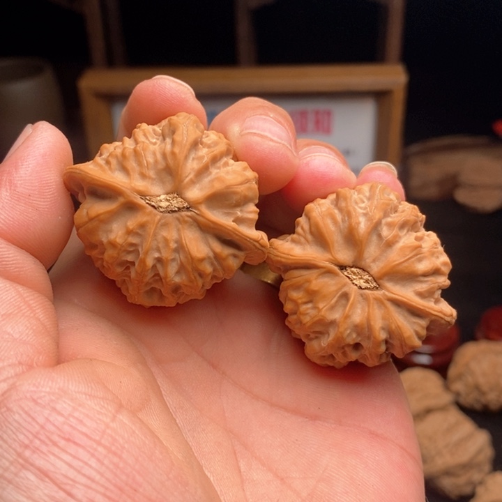 文玩核桃吊坠海**城41佛肚