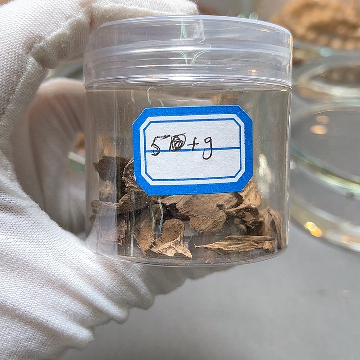 小叶紫檀其他5克虫漏土沉