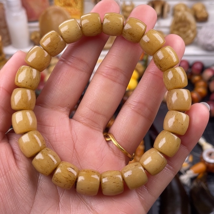 驼骨其他骆驼骨直切11