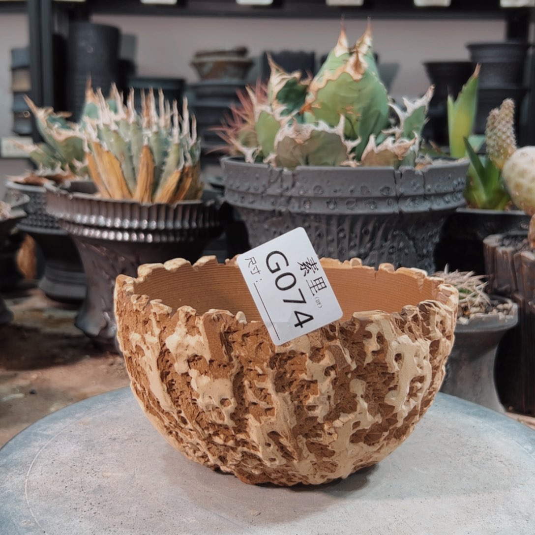 景德镇手工素里内口15高9