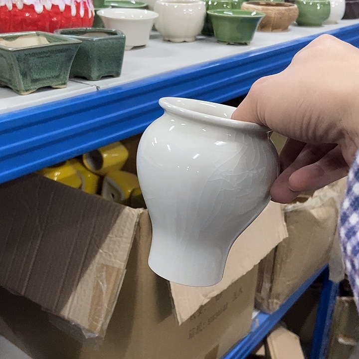 花盆单场满9.9发货7.5×11