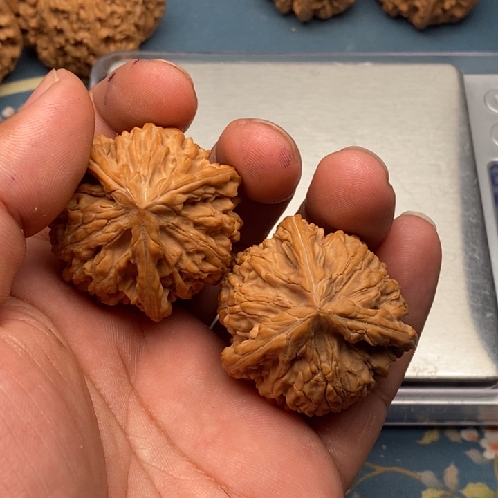 文玩核桃把件梵*星玉龙三棱