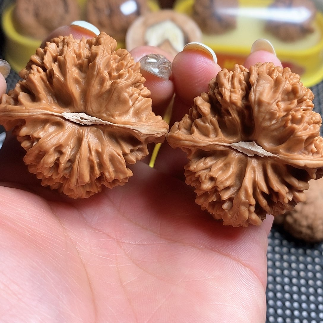 文玩核桃把件44尺满天星全品