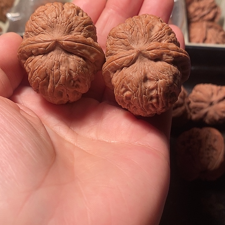 观***山核桃手串/手链42元宝