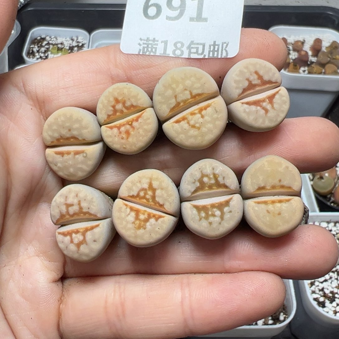 【闪购商品】691……