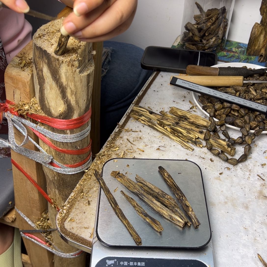 线香奇楠虫漏香20克