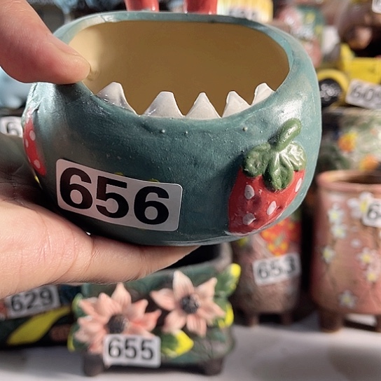 红陶多肉植物花盆