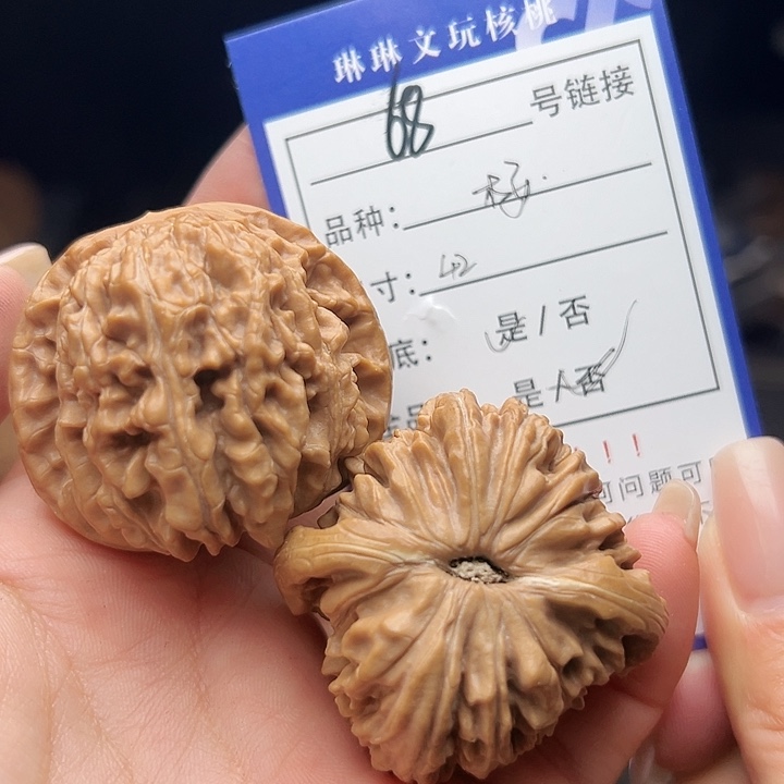 文玩核桃吊坠核桃树68