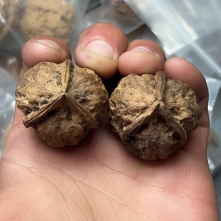 文玩核桃把件54号三楞异兽35尺