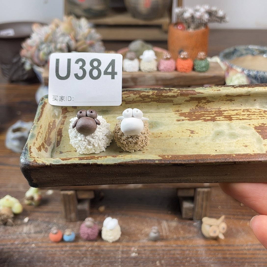 会***子小羊 压盆石 哈哈哈哈哈