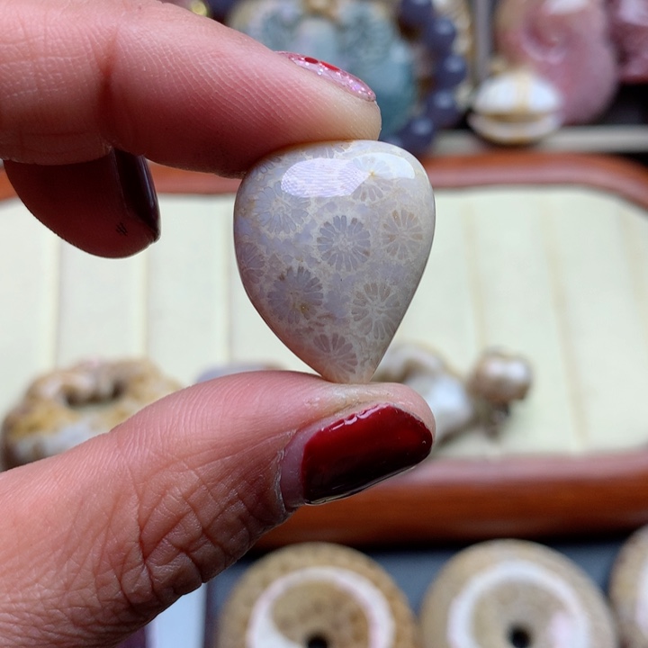 硅化珊瑚（珊瑚玉）颈饰未镶嵌