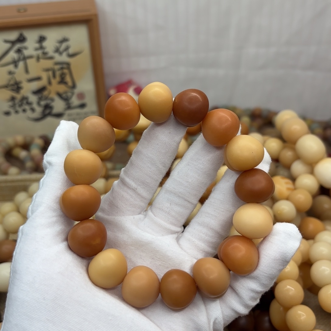 吊坠菩提根/象牙果19干磨瑕疵落地果009