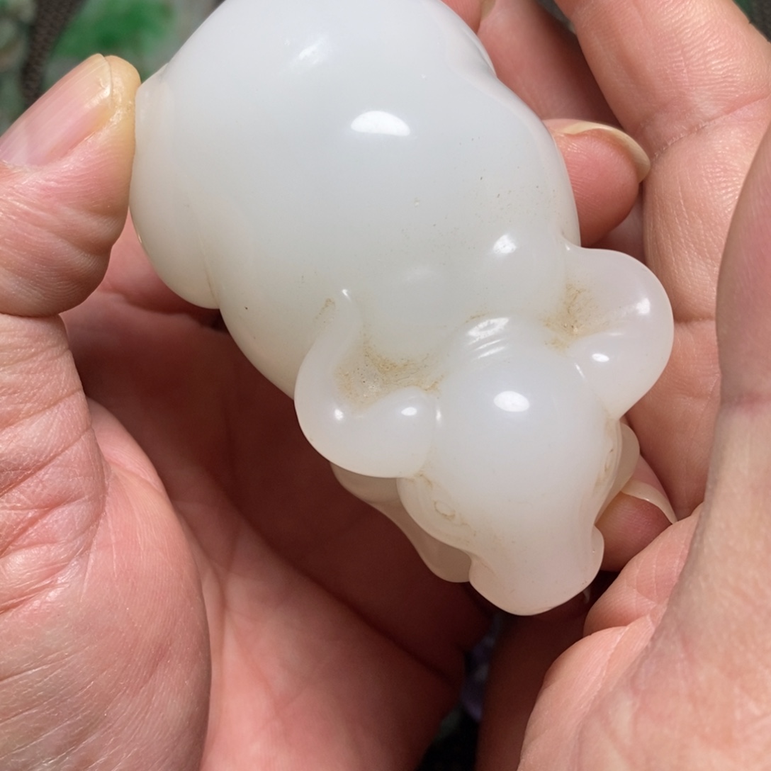 如***形陶在家住了一天你都不知道自己要吃早餐什么都可以了