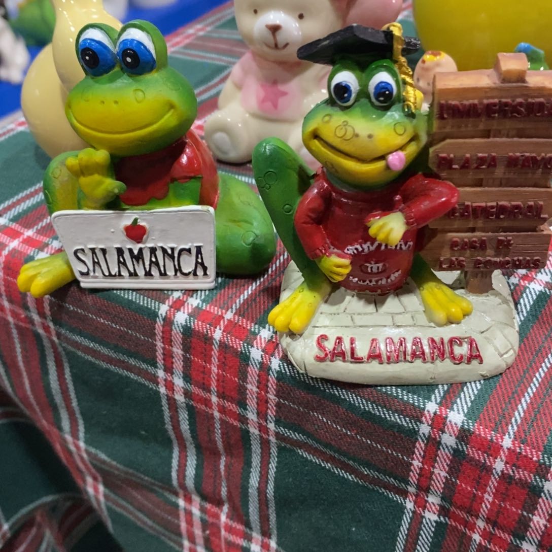 瓷片新店开播，9.9包邮发货