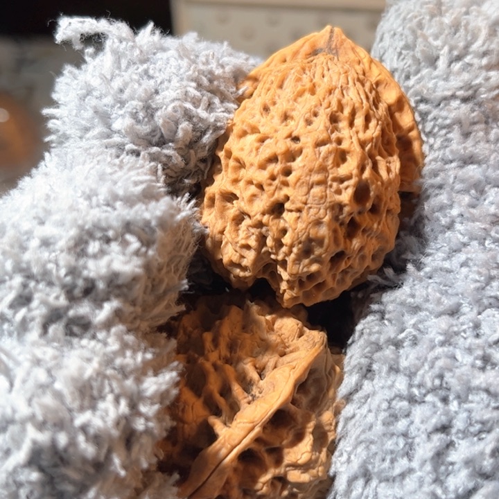 文玩核桃吊坠滇西铁核桃31