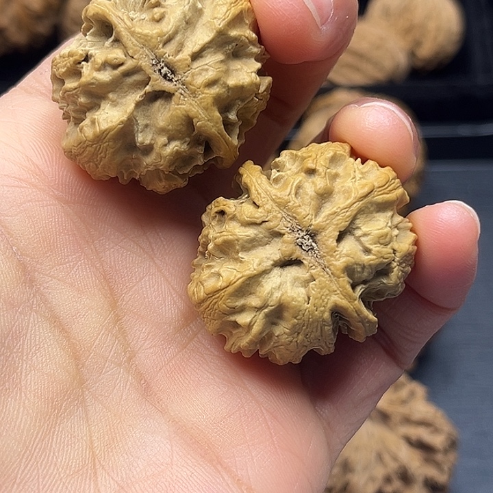 木质类秦岭突突突突突突突突