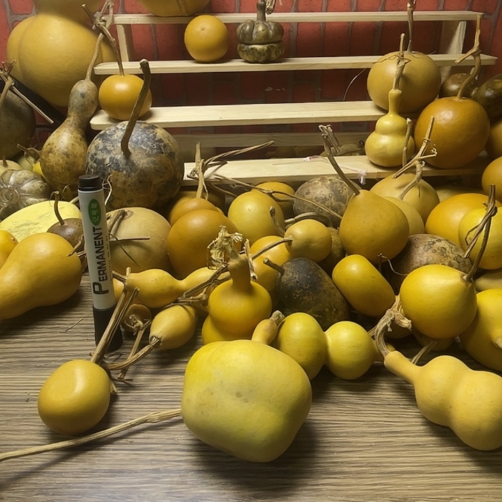 ****熏就会哈哈哈哈哈哈哈哈