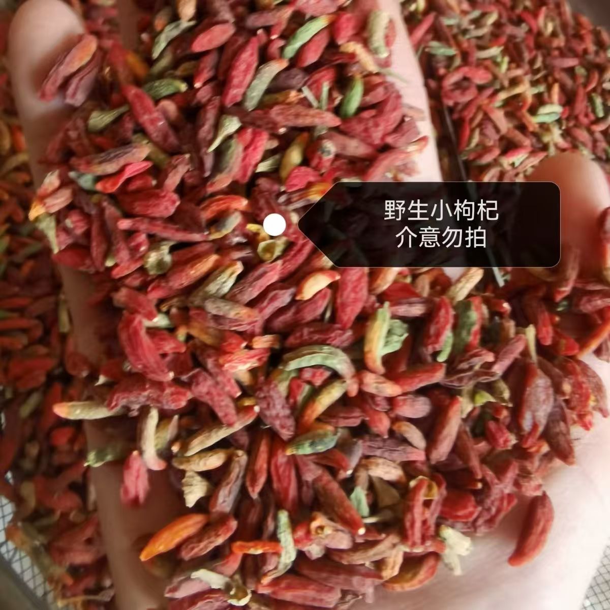 东北农家七彩枸杞无硫可泡煮水煲汤泡酒食用养生