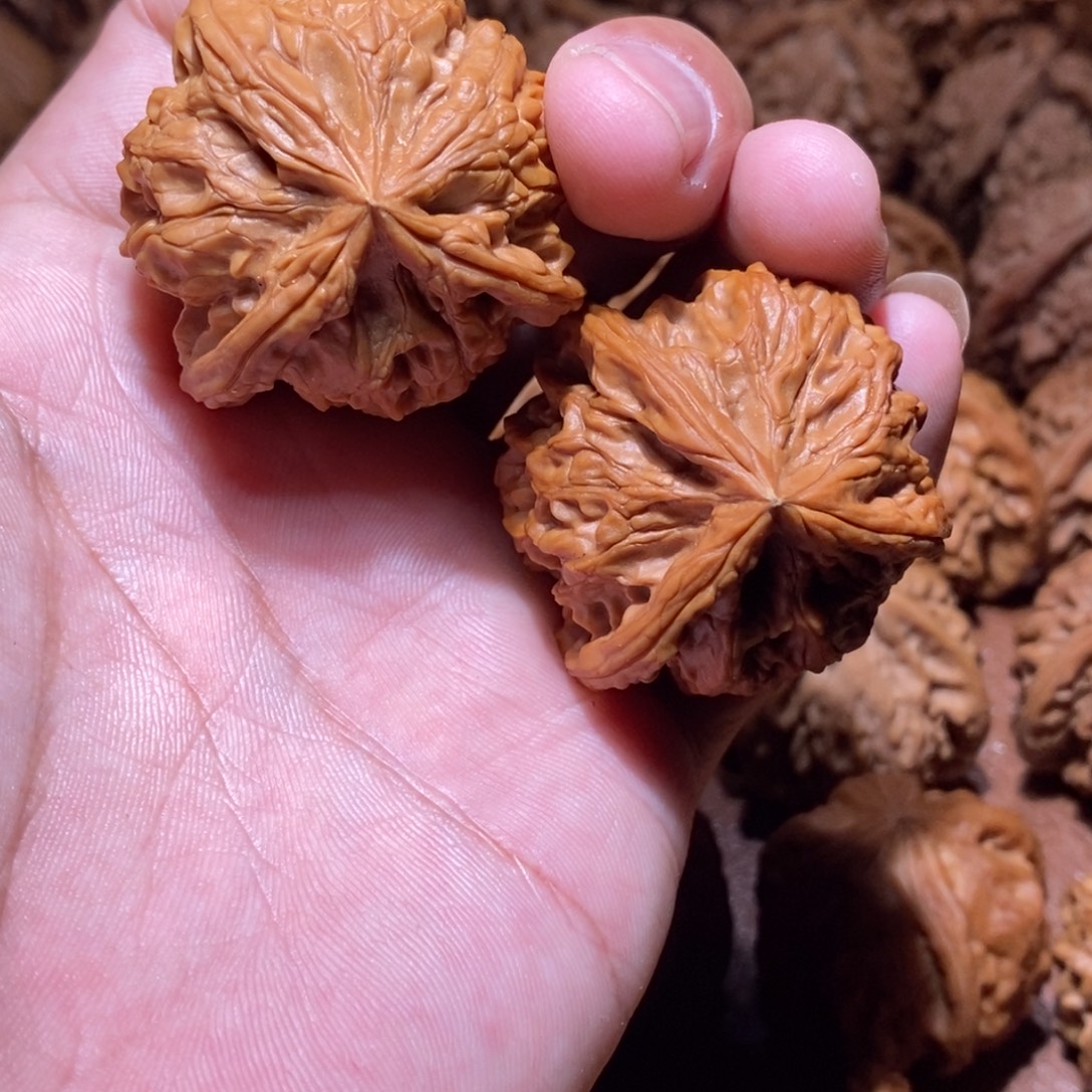 陈***霖京都三棱文玩核桃手把件