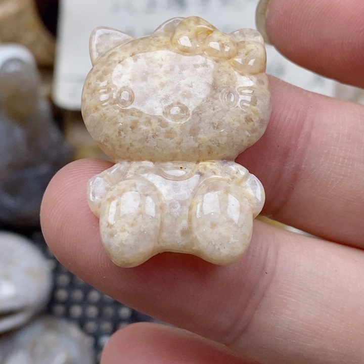 硅化珊瑚（珊瑚玉）未镶嵌颈饰