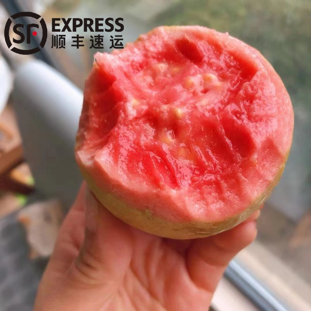 【顺丰包邮】红心芭乐芭乐水果新鲜水果当季正宗软糯红心番石榴