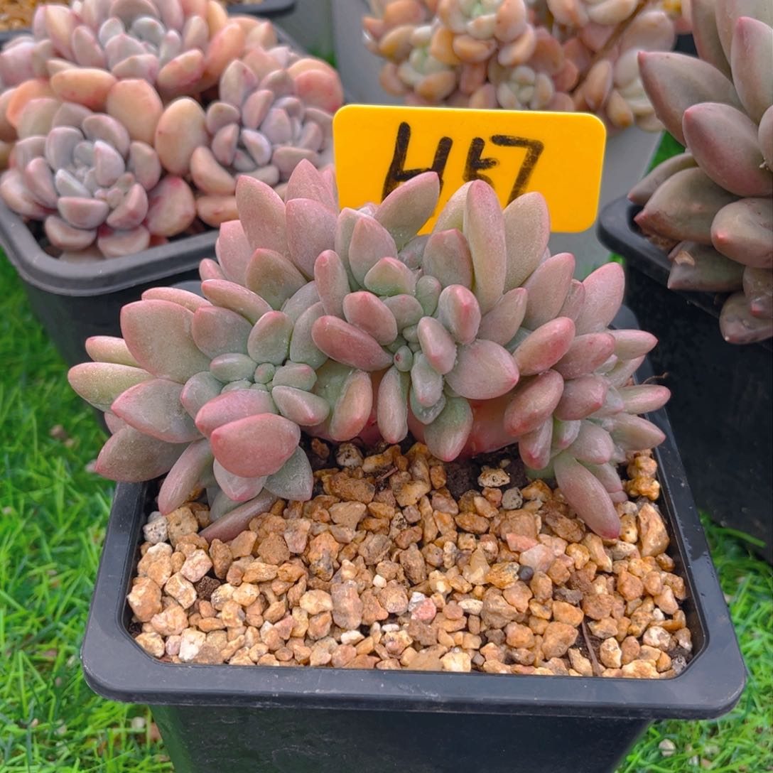 王***?57fghhhhhhjhjjj