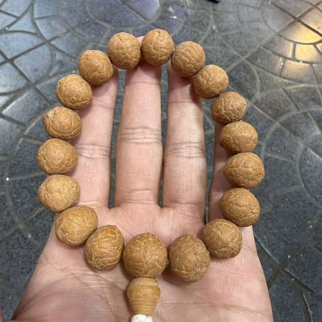 【地主专属】18 G33713-凤眼黄金瞳手持-多样性发其一-13-14mm