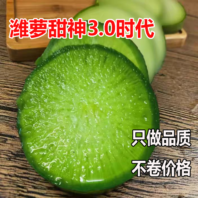 “潍萝甜神“3.0新时代/高品质款/甜度更高/酥甜细腻/潍坊萝卜之王