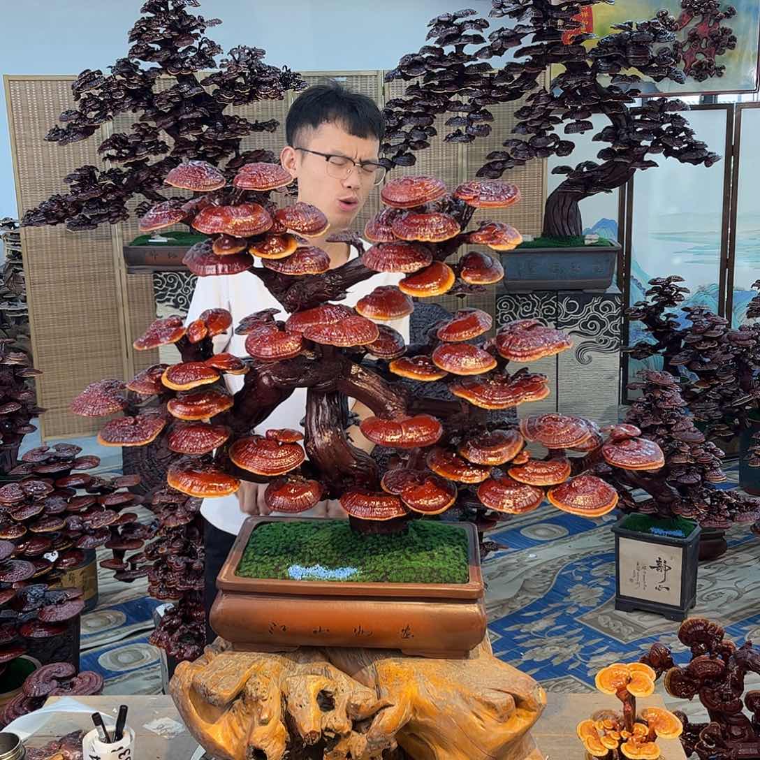 无花朵888888888888888888888888