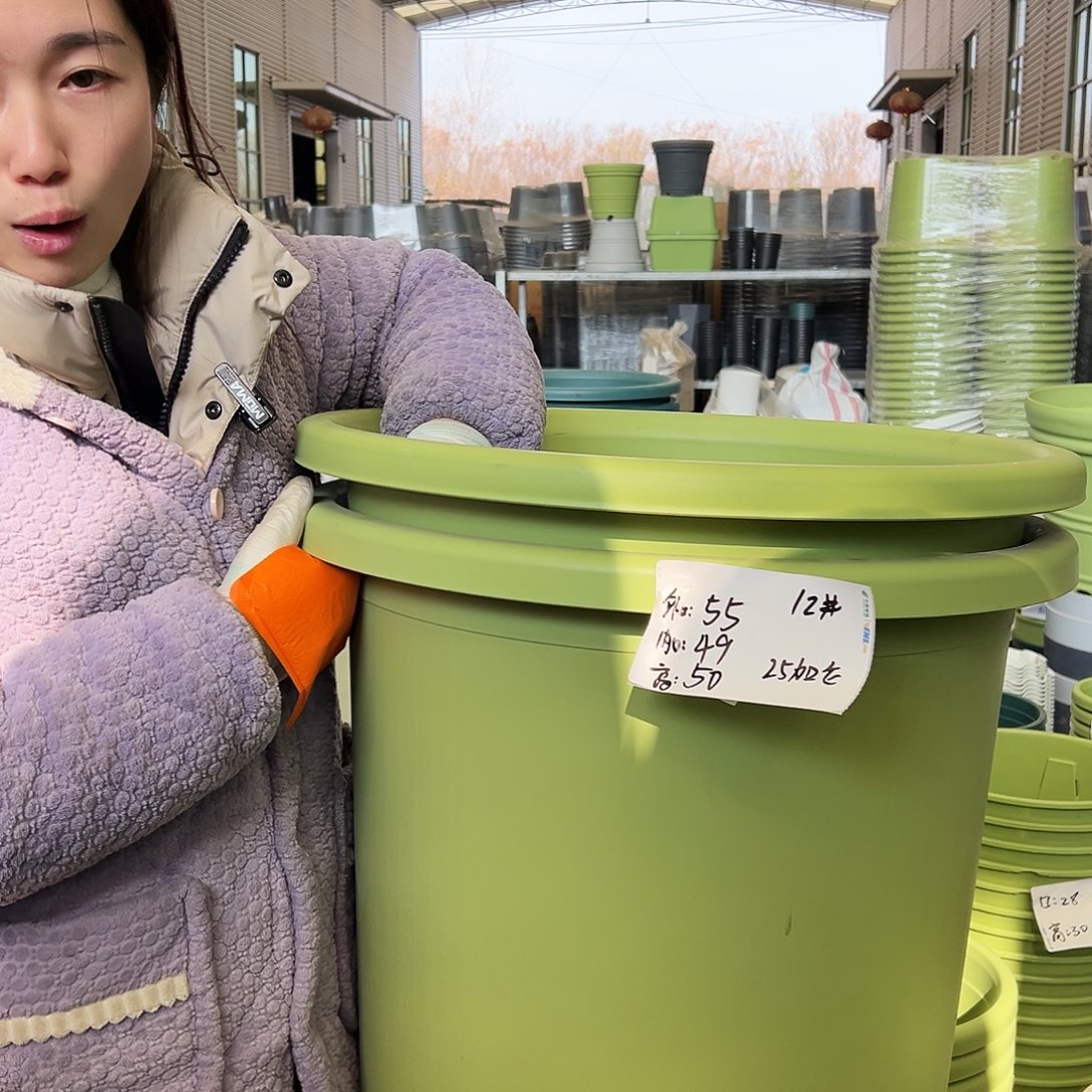 瑕疵四季盆12#果绿2个无托