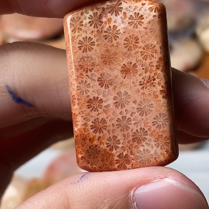 黑***好硅化玉未镶嵌颈饰