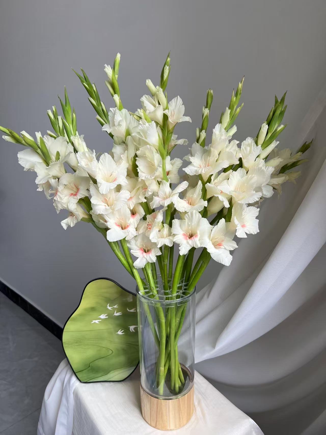 【A级剑兰】一单顺丰包邮鲜花插花云南直发（到货醒花后再拆包装）