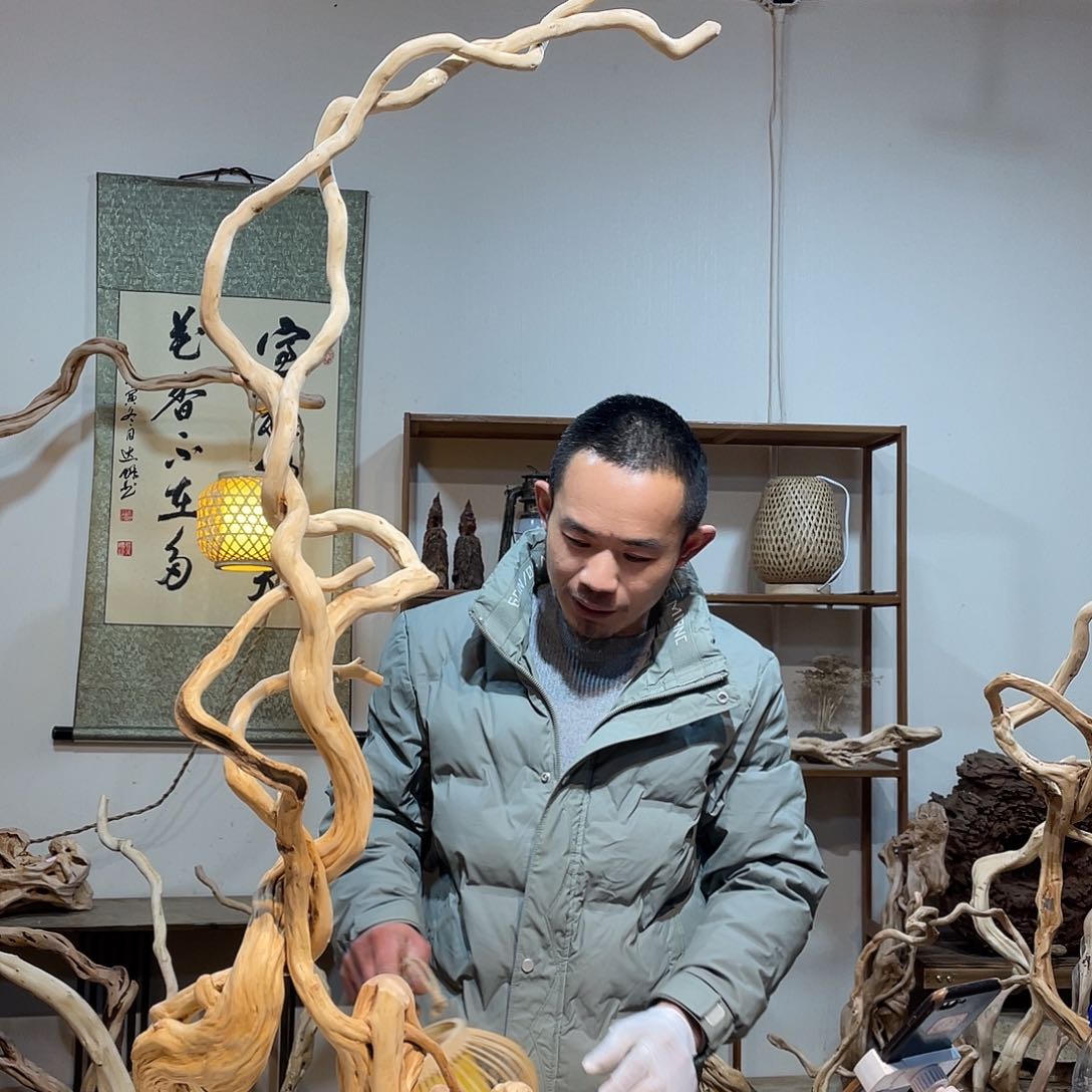 柏木杜鹃啼血猿哀鸣