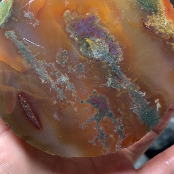 定制玛瑙菊*定制玛瑙不退换