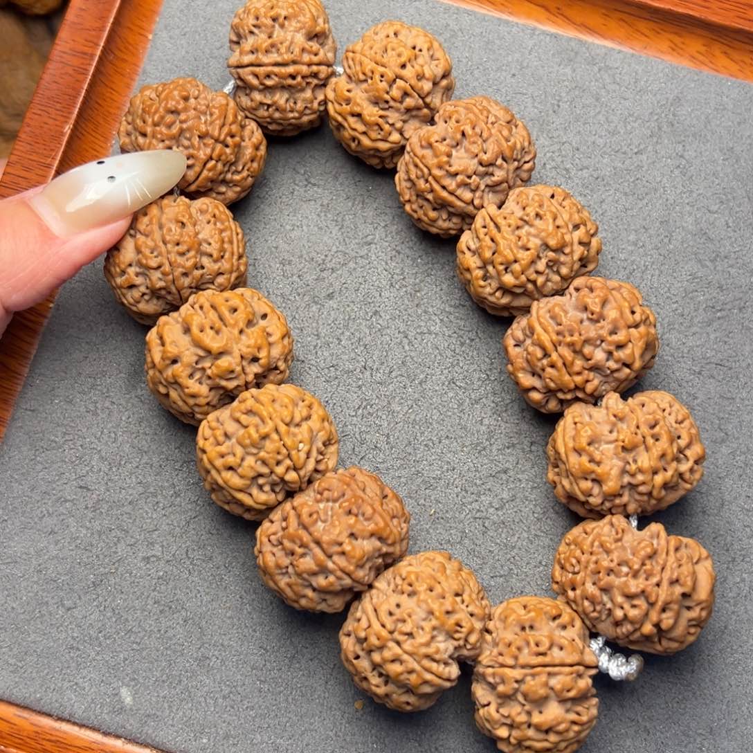 菩提8号尼泊尔大金刚六瓣26原生态梅花