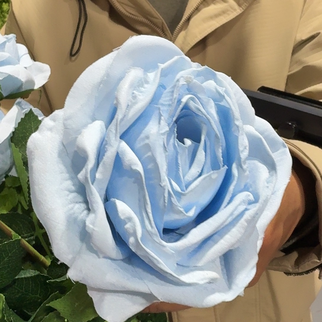 354号孤品蓝色玫瑰35支