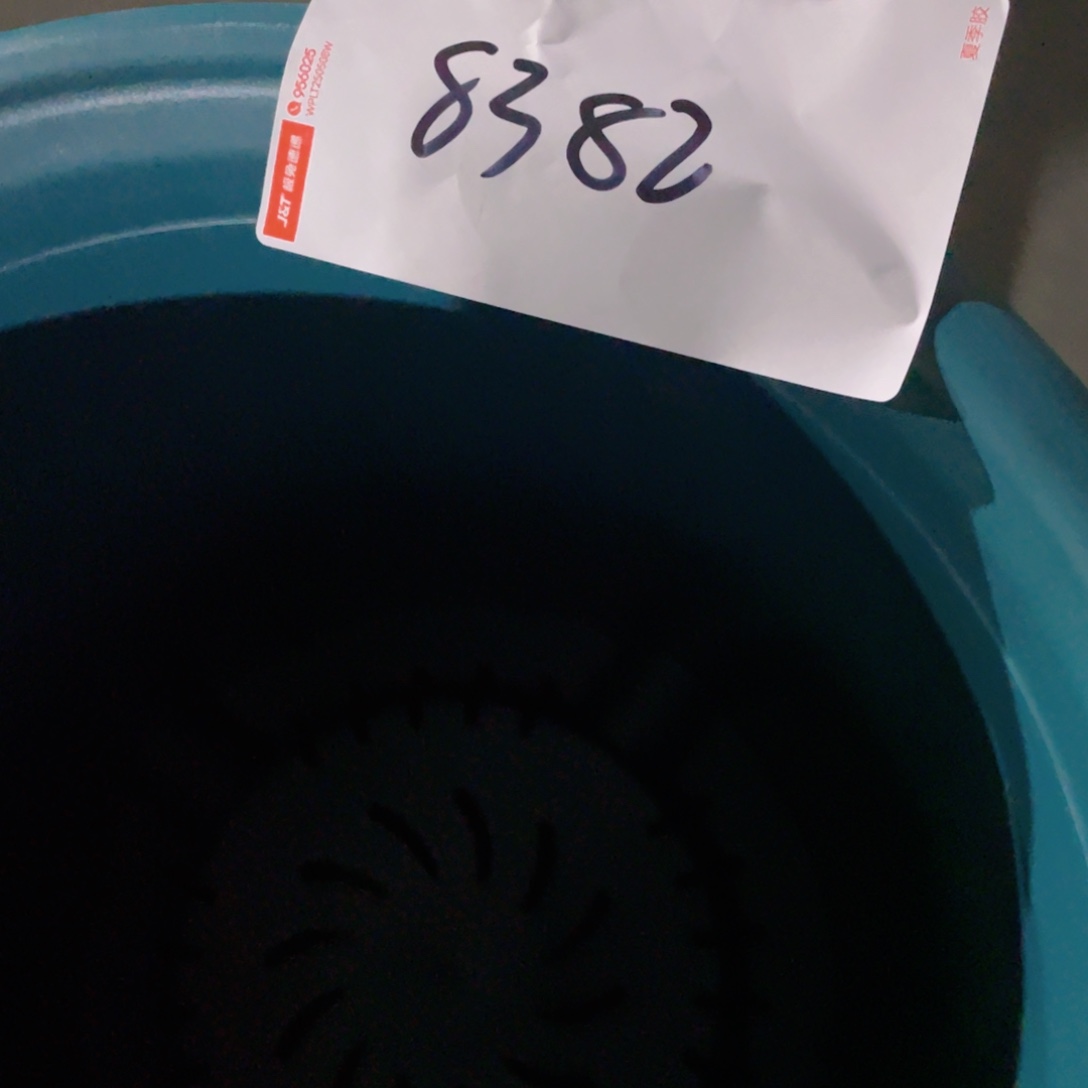 四季缺口8号编号8382无拖6个